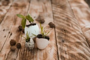 Read more about the article How Easter Teaches Us About Transformation and New Beginnings